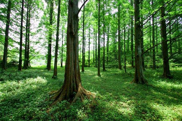 除了外星人入侵地球，你在《三體》中還看到了什么？